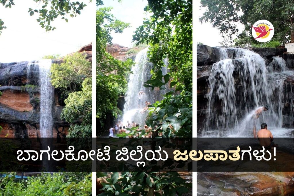 ಜಲಪಾತಗಳು